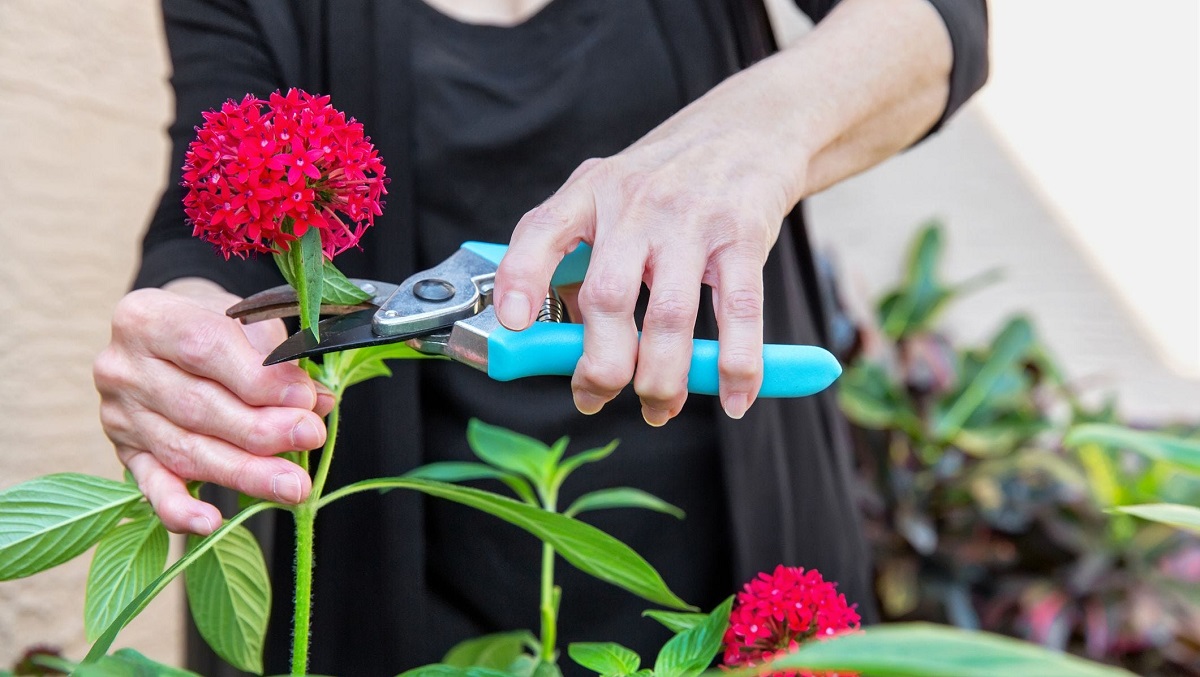 Rheumatoid arthritis gardening